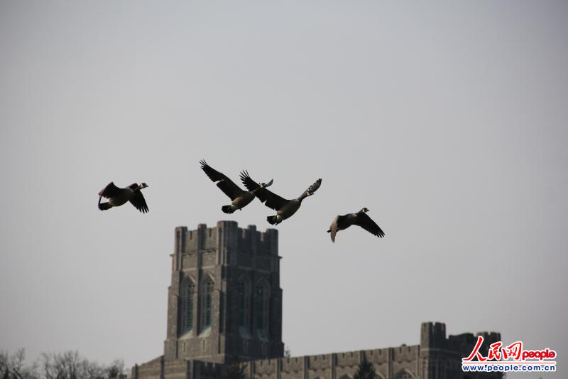 һȺB(nio)w^(gu)c(din)܊У̌W(xu)Ͽ |z