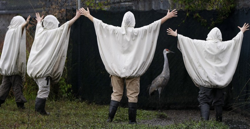 W(xu)ҵĂb20121127WWŰNĵW(xu)ҽ(jng)bԓB(yng)4ֻɳQP(gun)\УɳQҰﱣo(h)^(q)B(yng)(lin)/Gerald Herbert