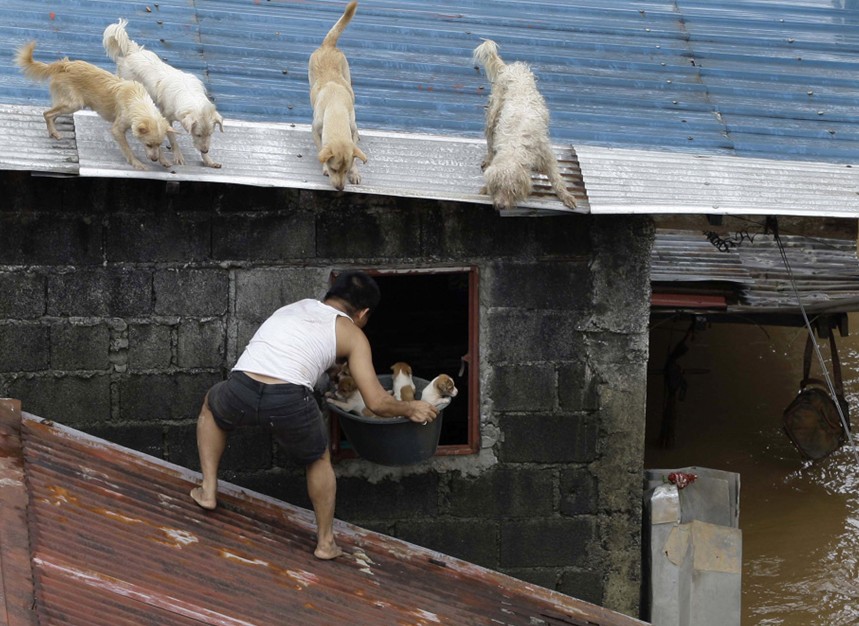 ȳС201288գeR|R{һӏıˮ͛]ķоȳСR(zi)11һٶfܵӰ(lin)/Aaron Favila