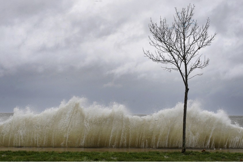 L(fng)ˁu20121029ZL(fng)ɣϡl(f)ď(qing)L(fng)_(d)aِͻıL(fng)εһС䡣Luĺˮ͛]˿ҸغĹ·С(zhn)@״γF(xin)l(f)?q)غƉ?lin)/Jessica Hill