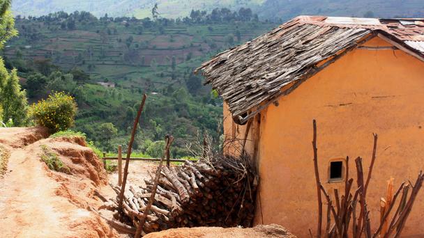 ooпډʾһNo̹ȻDƬBBCW(wng)վ؈D