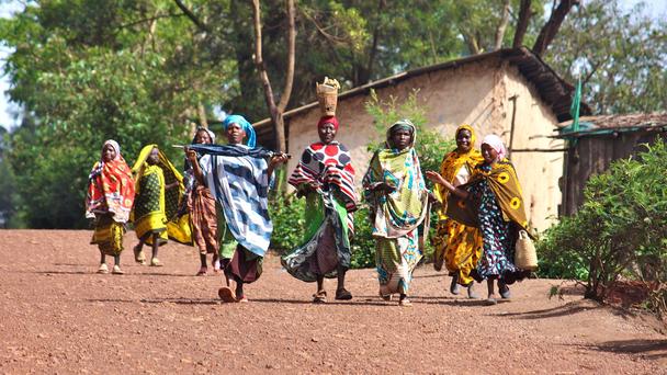 @Ҫf?sh)طͬrҲ@؅^(q)ͨZ˹ϣZMн (DƬBBCWվ؈D)