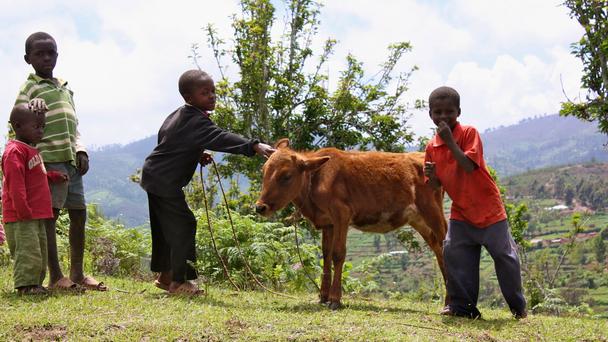 ӂ?yu)ĸĸտڣҲؕI(xin)ԼСС(DƬBBCW(wng)վ؈D)