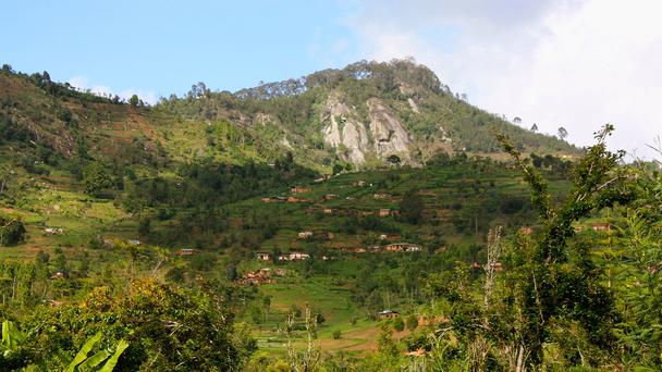 ̹ɣ၆Ğɣɽһ·棬;ɽԼ@С@h(hun)o˟ϡ١(DƬBBCW(wng)վ؈D)