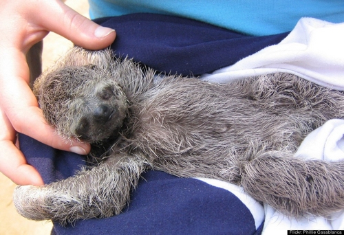 ë׵СһDƬ(li)ԴշD](bo)