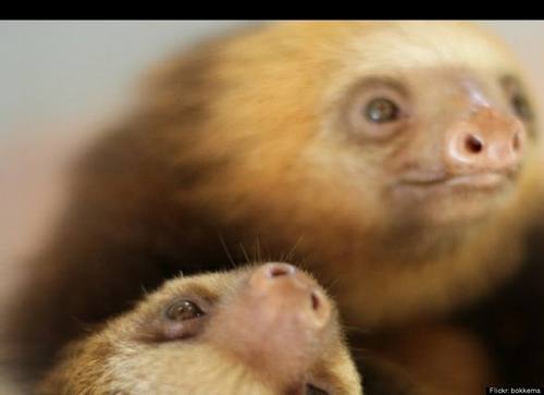 ҂L񲻣DƬԴշD](bo)