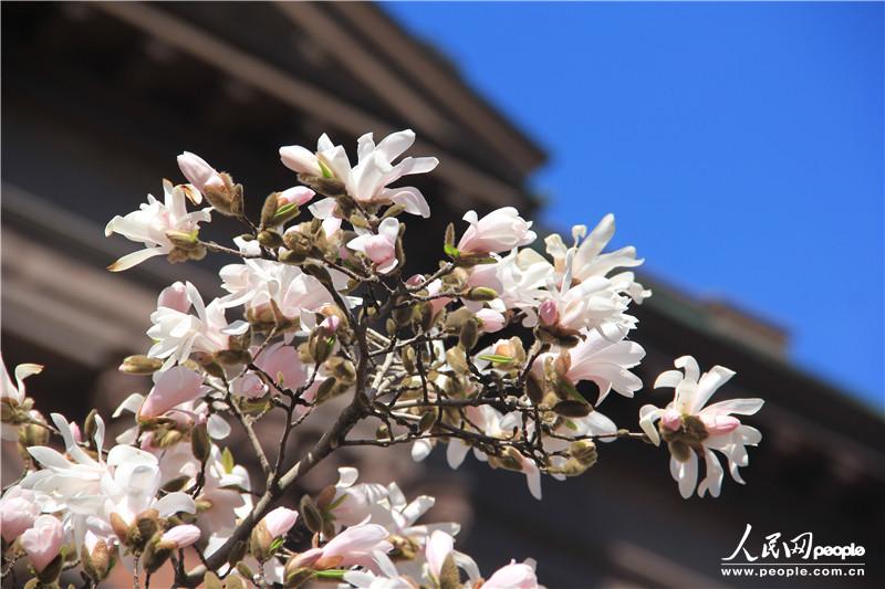 ٴʿDȻһʢ_ԸȥϢԸ@ů_ĕr(ji)໥໥F(tun)Y(ji)^@һyP(gun)|z