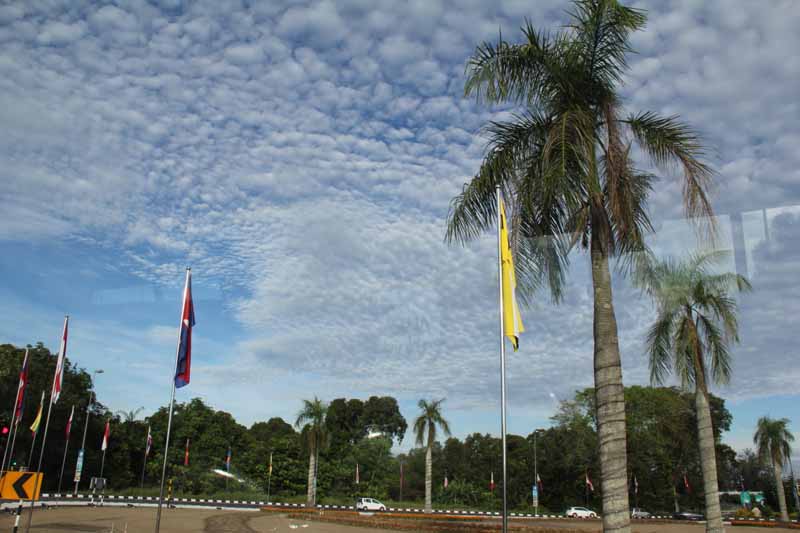 24RĔzW(wng)ӛ꣩