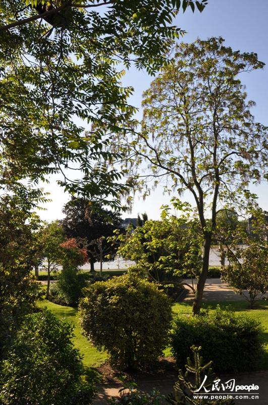 ߅NM˸NֲγȻĽĻ@W(wng) ͤ z