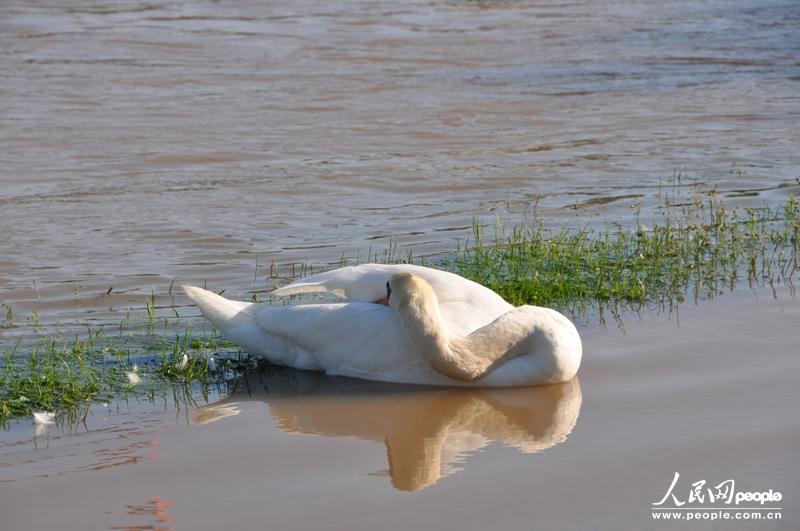 ?k)o糿Z߀](mi)˯W(wng) ͤ z