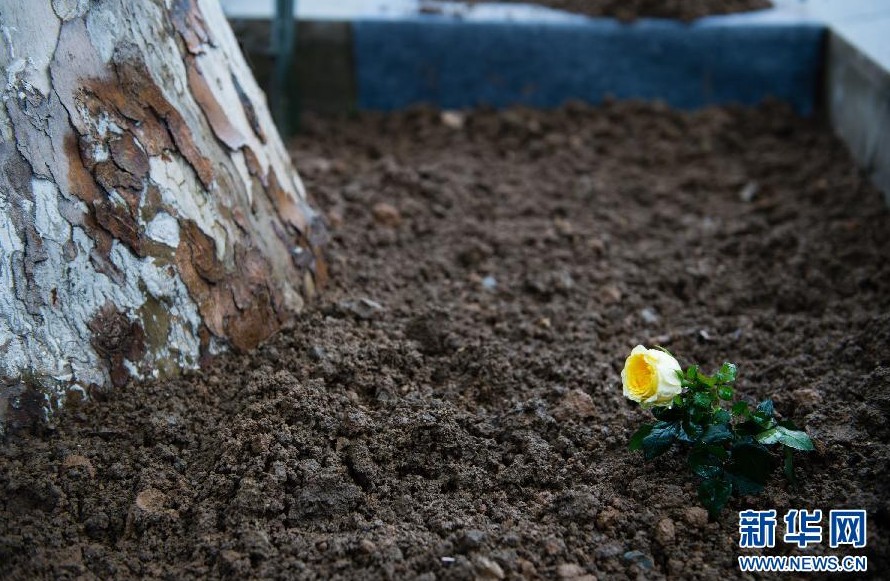 427գŮضϾ^A܊Ͼyͬo(j)^