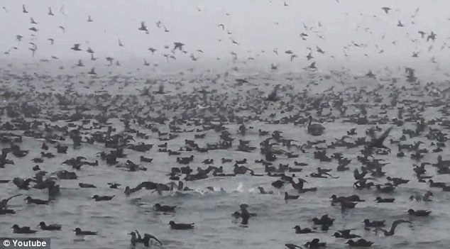 ݺˮ׃@ˣ30겻~(y)Ⱥ(D)6