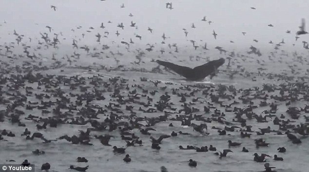 ݺˮ׃@ˣ30겻~(y)Ⱥ(D)7