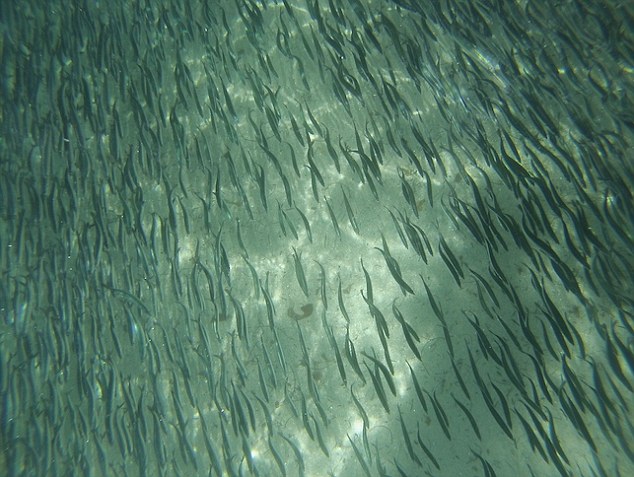 ݺˮ׃@30겻~Ⱥ(D)5