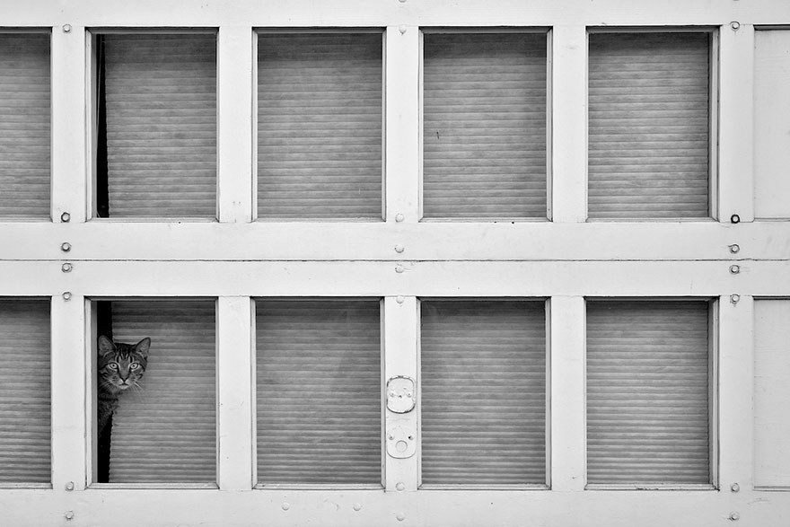 I˂ڴ߅ĬĬȺ˻ؼңMD20