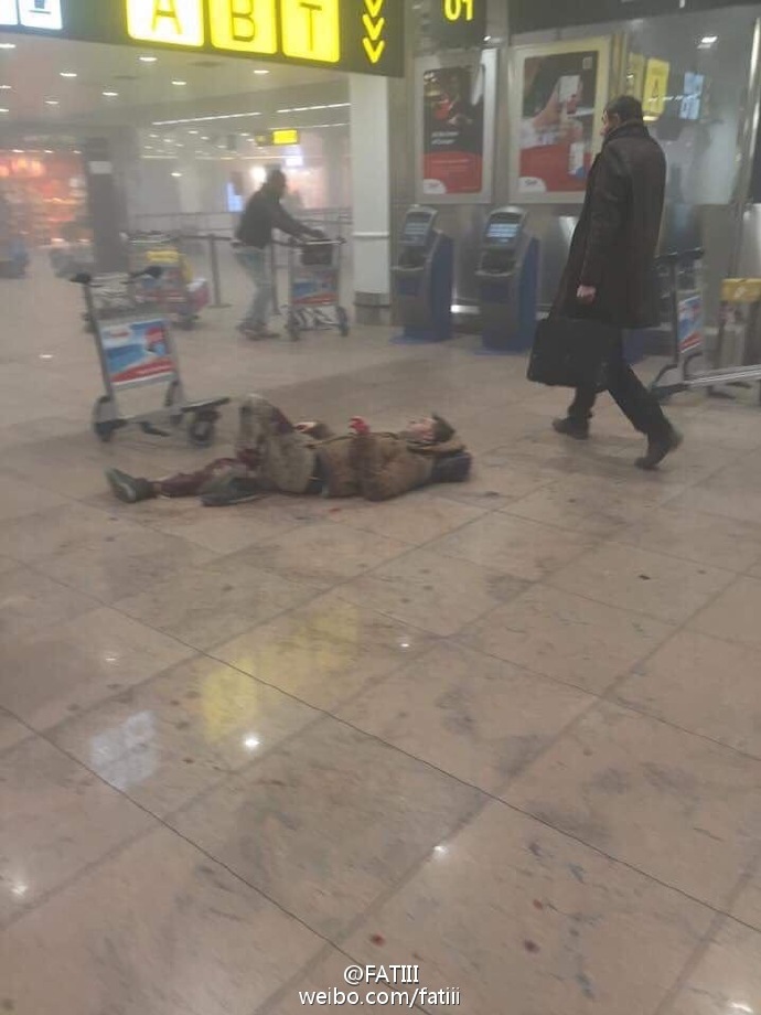 r(sh)C(j)l(f)ɴαը ⟟D4