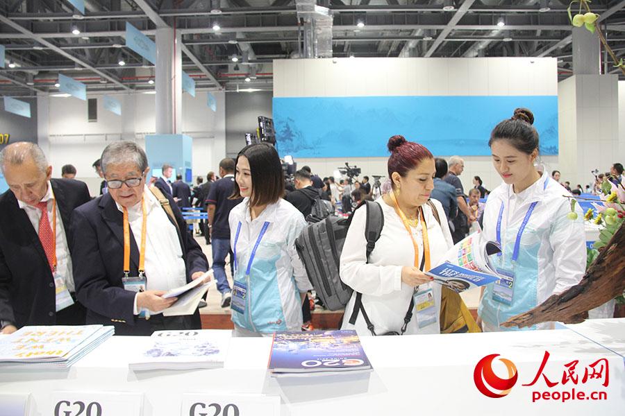 G20ݷĵ־Ըڞ˽Bչ_ϵĕY Ѹ z