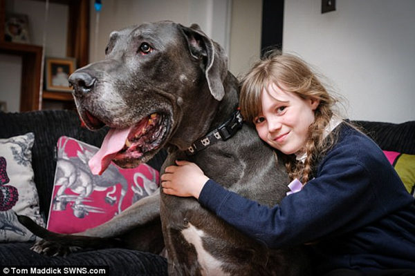 巴爾薩澤每兩周要吃掉15公斤的狗糧