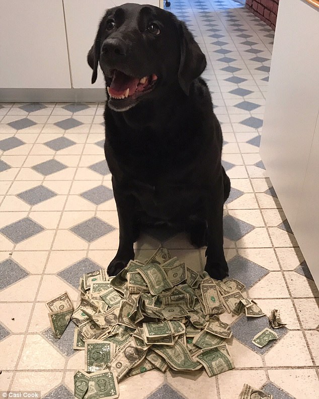 qĺɫȮн90Ԫ@ЩXIԵ