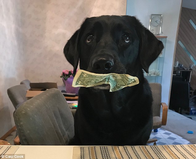 (hu)ÁһԪQһ(g)