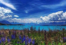 mASAˣ(gu)Խ(qing) ҂UӾԽӲ(gu)Խ(qing)҂SUӾԽӲиİl(f)ԙ(qun) mύuЇ(gu)ƽy(tng)һM(jn)(hu)(hu)L(zhng)Ůʿ(dng)رʾ