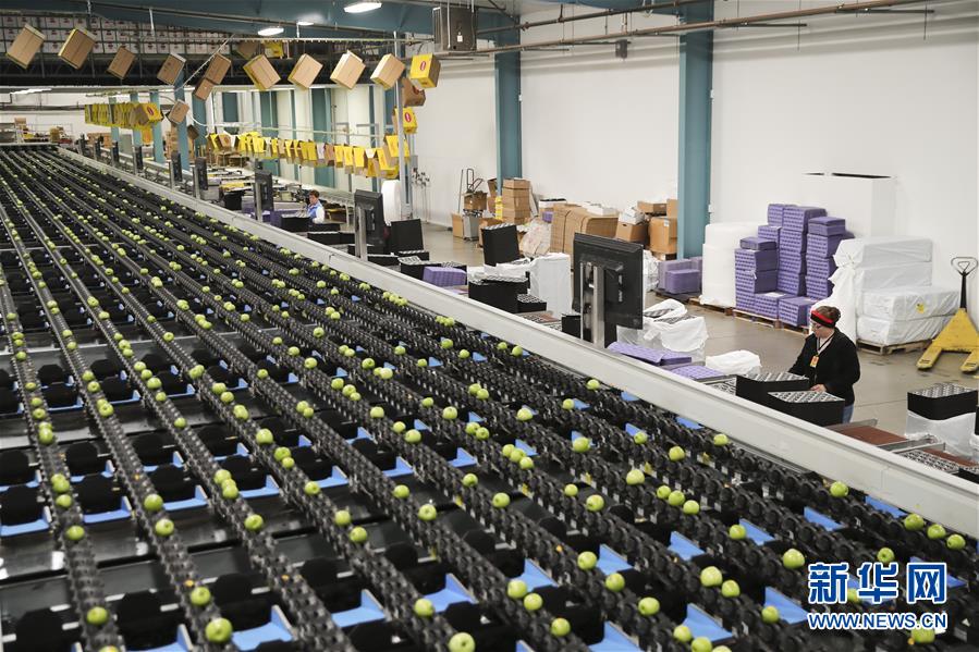 (dng)?sh)ؕr(sh)g113(gu)AʢDf{нĊWƷ˾ӹSˌ(du)O(png)M(jn)з֒b䡣