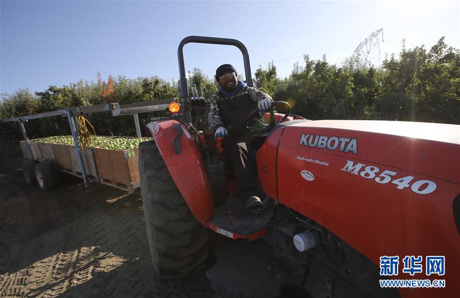 (dng)?sh)ؕr(sh)g113գ(gu)AʢDf{нĊWƷ˾@\(yn)̈́ժO(png)