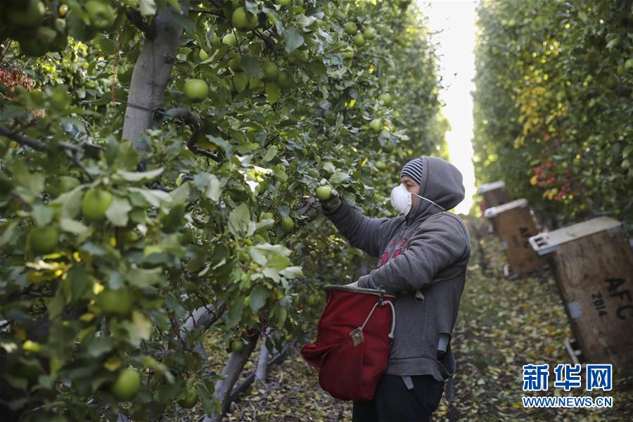 (dng)?sh)ؕrg113AʢDf{нڊWƷ˾@ժO