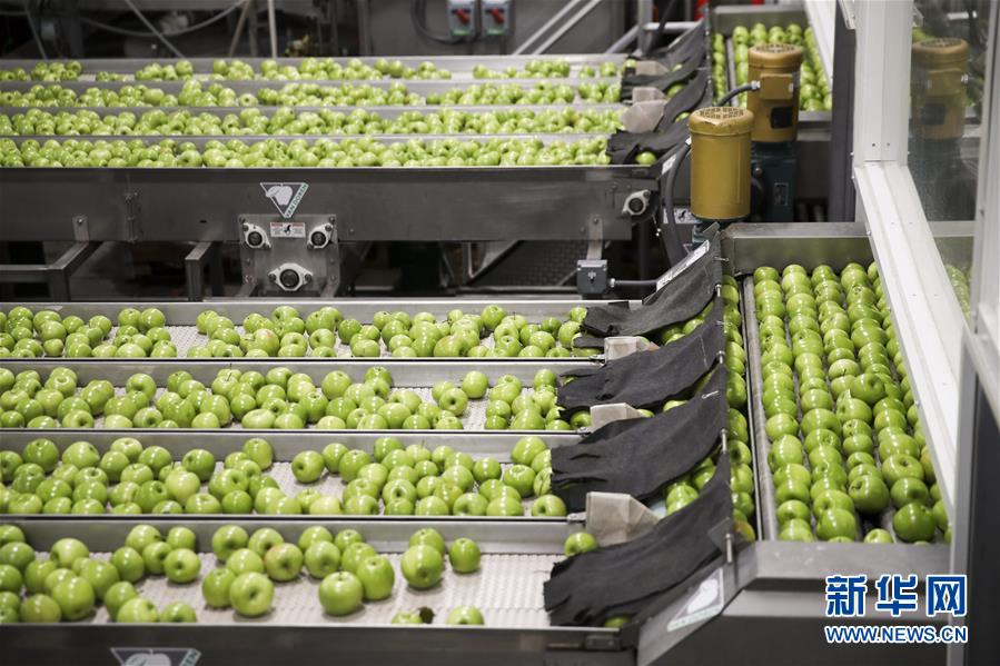 (dng)?sh)ؕr(sh)g113AʢDf{нĊWƷ˾ӹSOԄa(chn)ϴ