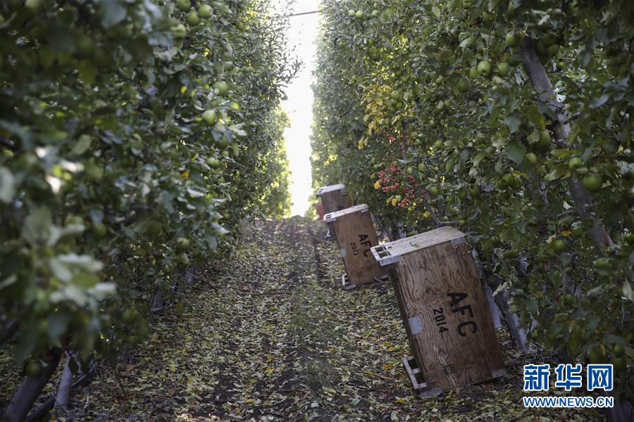 @Ǯ(dng)?sh)ؕrg113ĔzAʢDf{нĊWƷ˾@