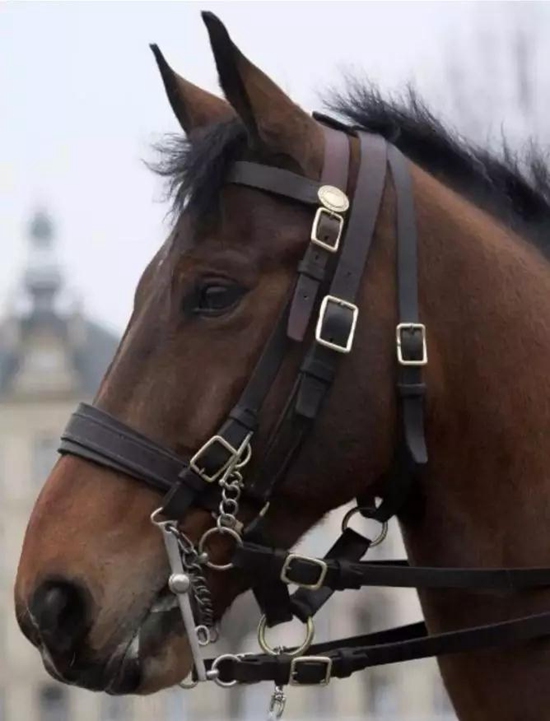 @ƥtɫćYR顰Vsuve de Brekka顰SKɽ20096102012ɞ˷m͇T꠵һTһΈ(zh)΄(w)20171111ڰ@ǷһΌ侫ӢTRˣ·͸J@ǡʷoǰ⽻ˑB(ti)