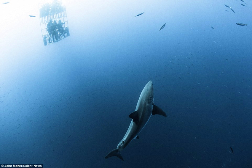 оˆTվڻ\~(y)؏̎ρ(li)(yu)ŵڝˮ\߅΁(li)ȥ