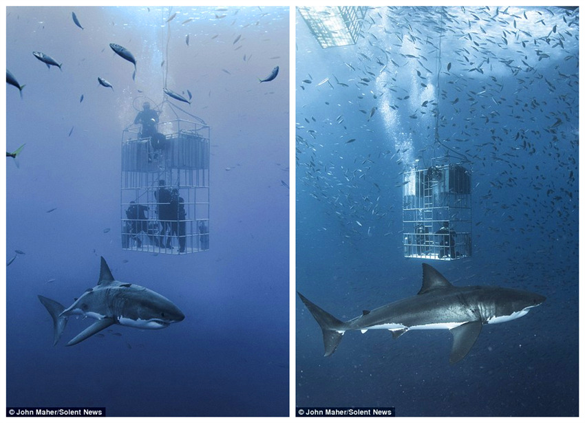 sƽÿ컨8(g)Сr(sh)ˮĔzо~