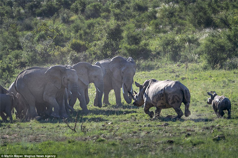 (dng)ȺxϬţs20hrϬţͻȻǰ͛_