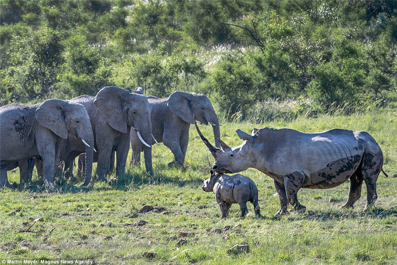 Ϭţĸҕֶ犺Ϭţͳغһ֮㷭ɽxȥ