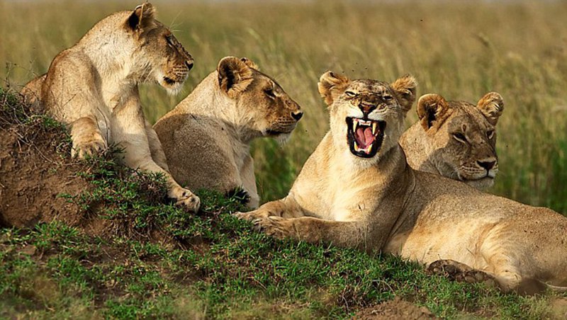 ΰl(f)Xȿֺͨ^֮r{ӂѽ(jng)ĵں߅