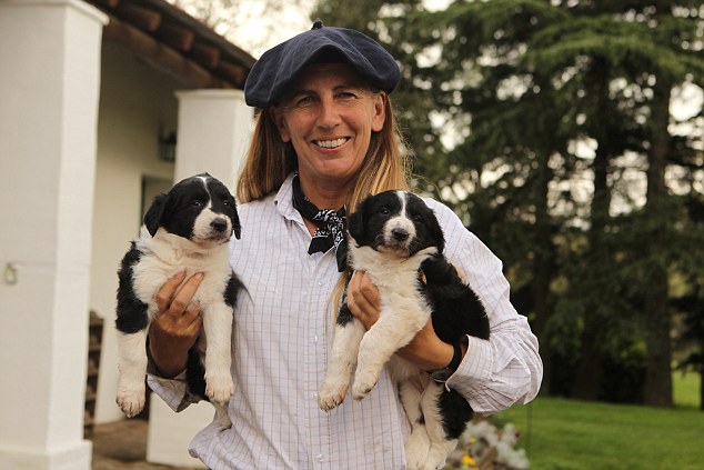 你很可能會(huì)發(fā)現(xiàn)自己與牧場(chǎng)九只狗的一只共用一張沙發(fā)。