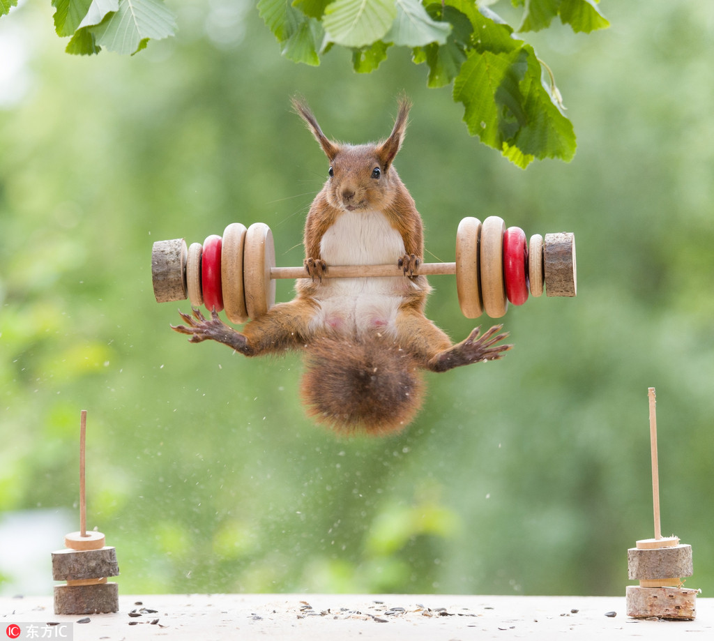 DƬԴ|IC δ(jng)ڙ(qun)D(zhun)d