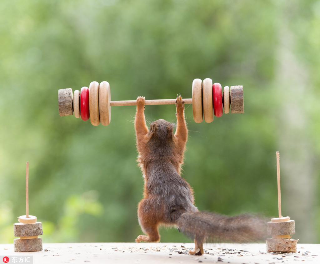 DƬԴ|IC δ(jng)ڙ(qun)D(zhun)d