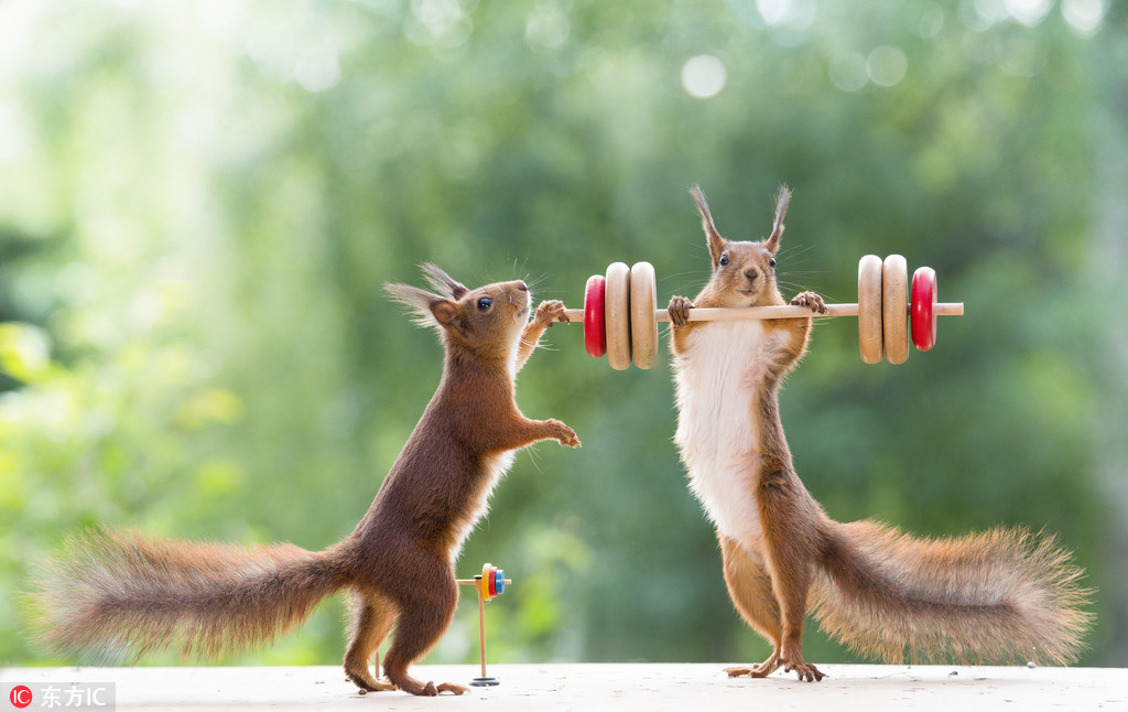 DƬ(li)Դ|IC δ(jng)ڙ(qun)D(zhun)d