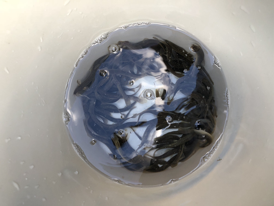 qoĞЇٛ͵ăֻqʂ͡qW(wng)ӛ߄܊z