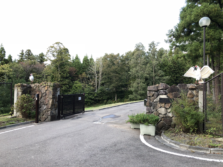 λhqo(h)W(wng)ӛ߄܊(gu)z