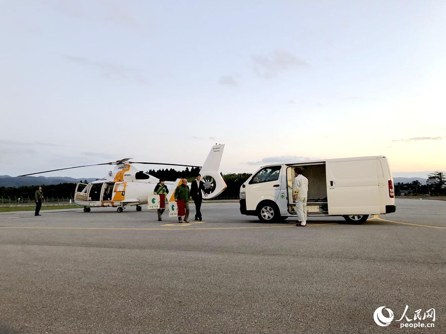 中國(guó)贈(zèng)送日本1對(duì)朱鹮10月17日傍晚抵達(dá)新潟縣佐渡機(jī)場(chǎng)。人民網(wǎng)記者劉軍國(guó)攝