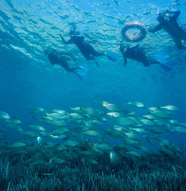 ͥʘCosta Bravaw(yn)Ƥͧ