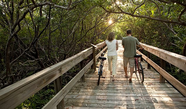 ާֲf(yn)̦\ֲҒGreat Calusa Blueway