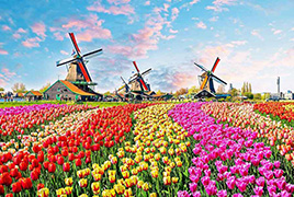 㡢δc(din) mðĴ