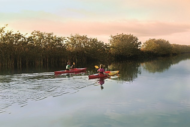 乘坐獨(dú)木舟或皮劃艇。