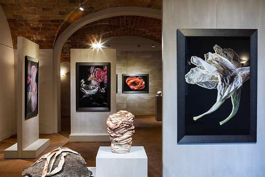 ˹{Borgo PignanoƵˇg(sh)ղ