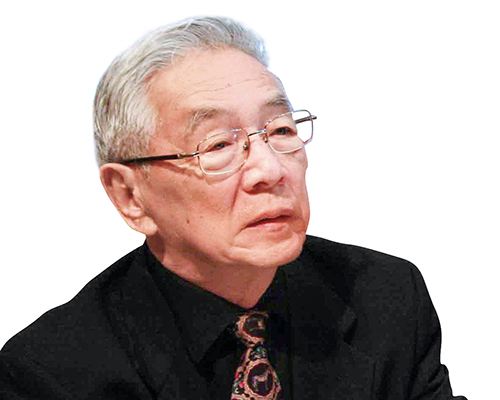 資料圖:王嵎生大使