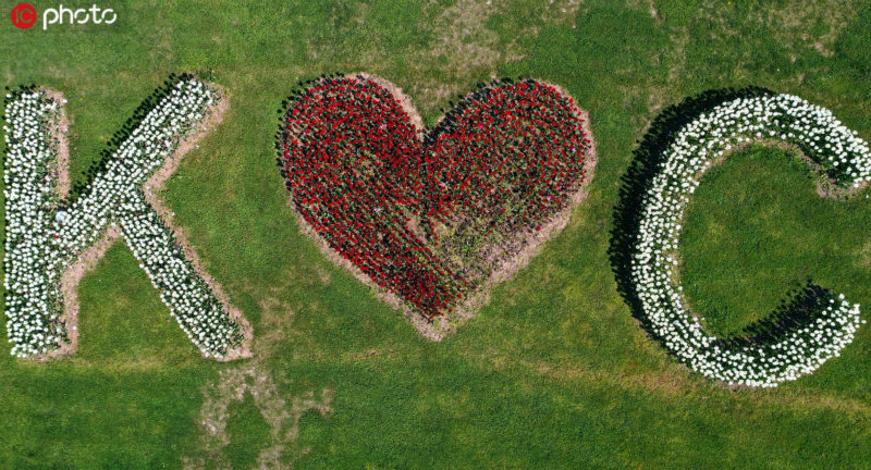 IC Photo(qun)ƷՈD(zhun)d